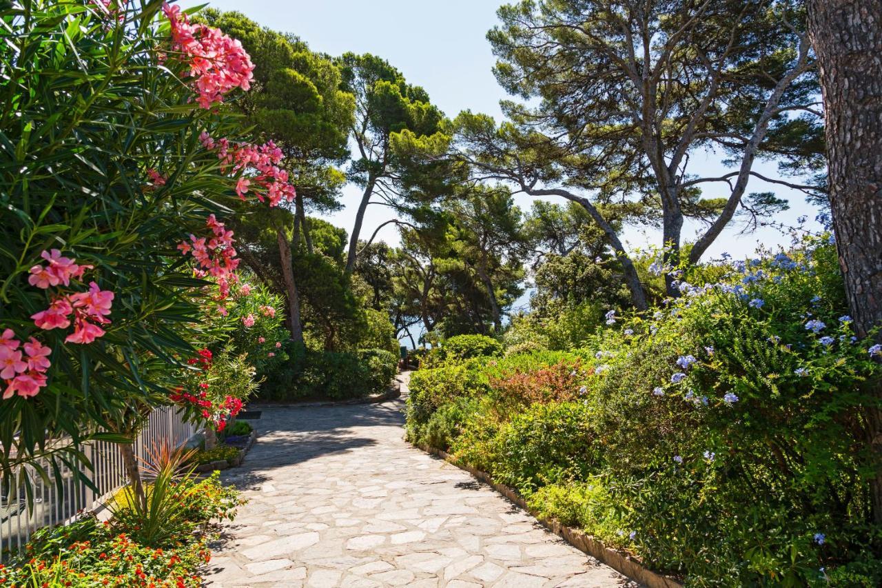 Parc Et Residence Le Provencal Ιέρ Εξωτερικό φωτογραφία